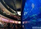 The Dubai Mall